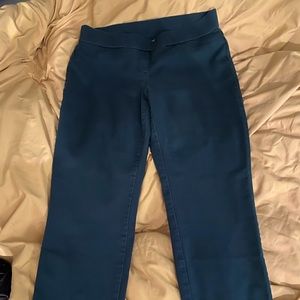 Kim Rogers stretch waist pants.